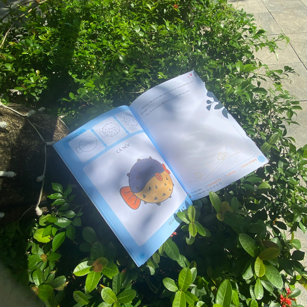 Sách Em Tập Vẽ Và Tô Màu - Động Vật Dưới Nước