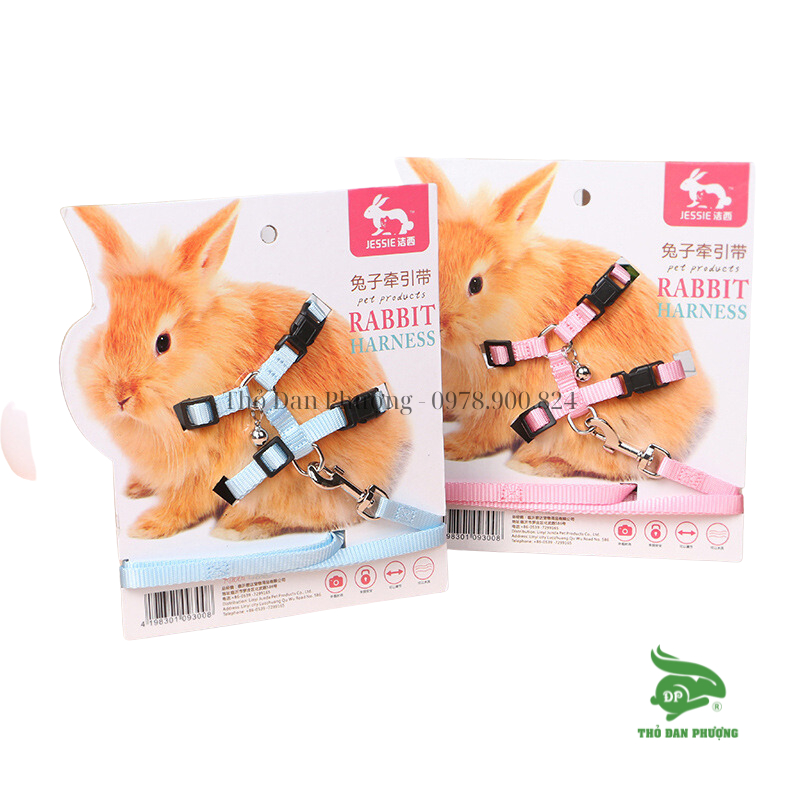 Dây dắt Jessie - dây dắt thỏ đi dạo - Thỏ Đan Phượng