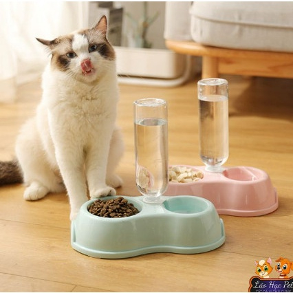 Bát ăn kèm bình nước tự động cho thú cưng, bát ăn cho chó mèo