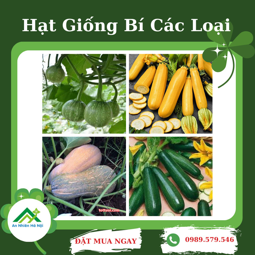 Hạt giống BÍ CÁC LOẠI dễ trồng, cho năng suất cao