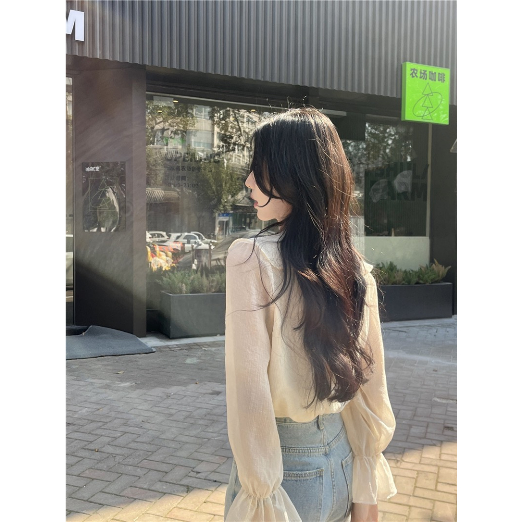 Áo sơ mi nữ dài tay chất tơ mềm 2 lớp - 247store.vn - Aotohatkem019_P0K19