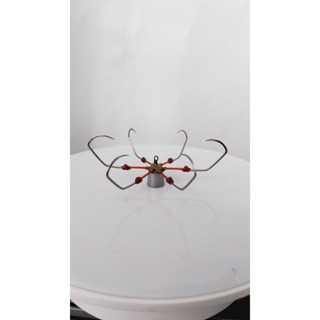 lưỡi câu lục cỡ 12 các phom dáng lưỡi