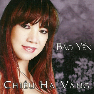 Đĩa cd 2350.bao yen - nhac go cong chieu ha vang chất lượng cao