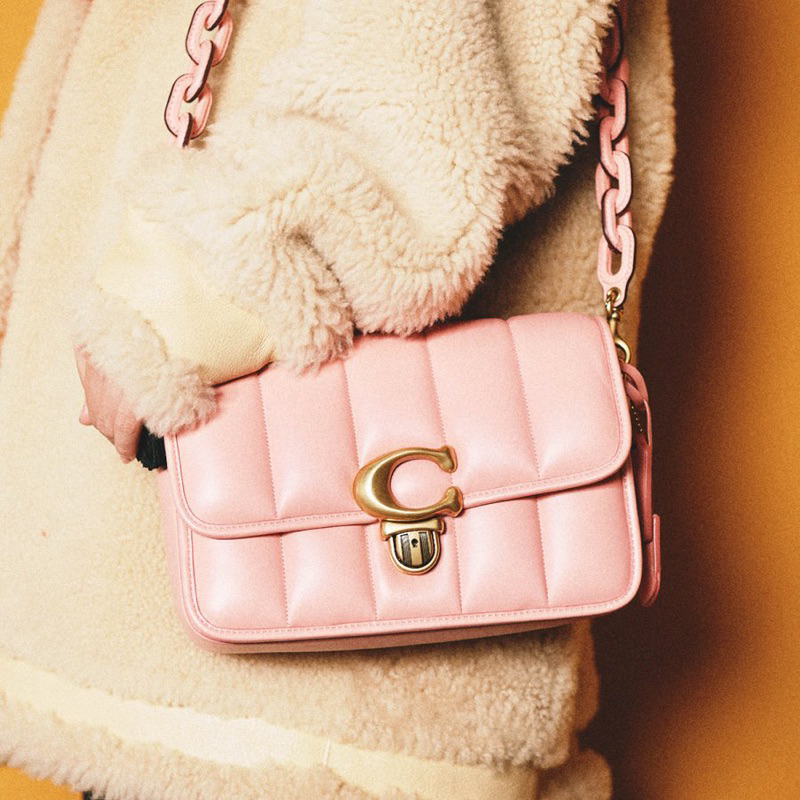 Pass túi coach auth