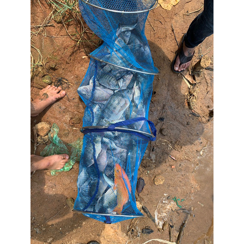 Tinh Tôm câu cá - Chuyên Rô Phi, Diêu Hồng