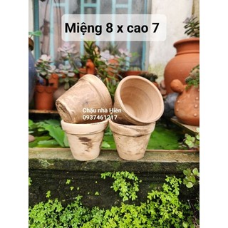 Chậu đất nung - chậu ly gờ miệng 8, cao 7