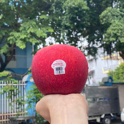 Táo ENVY NEW ZEALAND ,Mới về  GIÒN, NGỌT THƠM CHẮC TAY