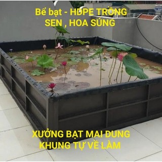 Bể bạt trồng sen, hoa súng, bể nuôi ốc ếch cá lươn HDPE