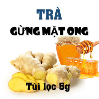Trà Gừng Mật ong và Chanh yên Hộp 15 túi lọc trà An Phương