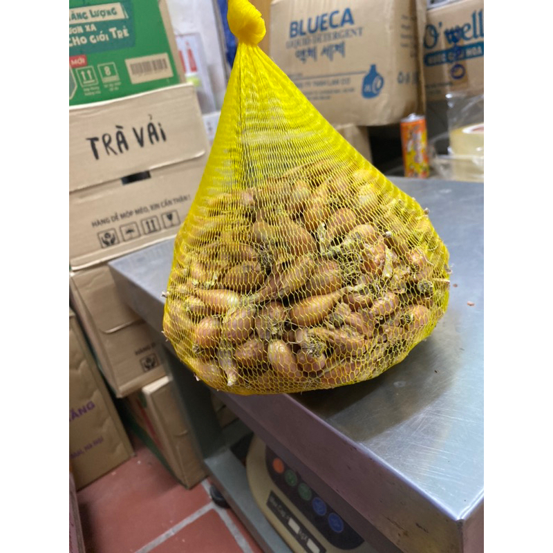 0,5KG CỦ HÀNH GIỐNG BA CHÀI