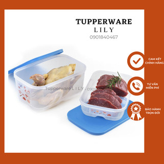 ✅giá tốt✅ coolmate 2 hộp đông mềm 1.8l 4.4l cool mate tupperware