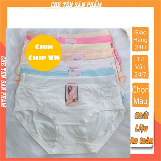  quần lót nữ bigsize bikini cotton Thái Lan 50-65 kg kháng khuẩn khử mùi quần chip xì nữ thun lạnh quần lót nữ đúc su 