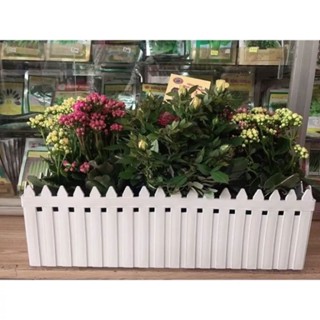 chậu nhựa hàng rào trồng hoa kiểng trang trí ban công đủ size