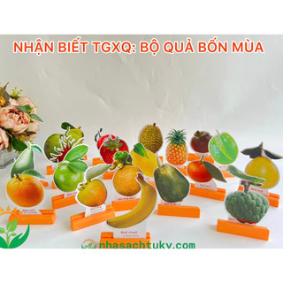 Bộ tranh nhận biết một số loại quả 4 mùa, giúp trẻ phát triển nhận biết thế giới xung quanh