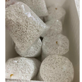 1kg sắn dây đóng bịch 1kg