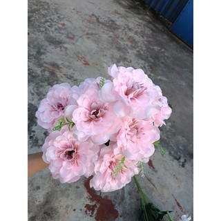 Cụm hoa thược dược to 9 bông