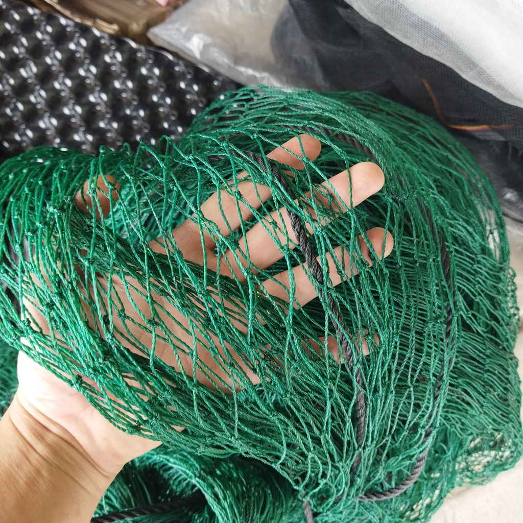 Lưới rào gà  - mắt lưới 6cm, cao 2m. Thích hợp nuôi gà, làm giàn leo, bao che