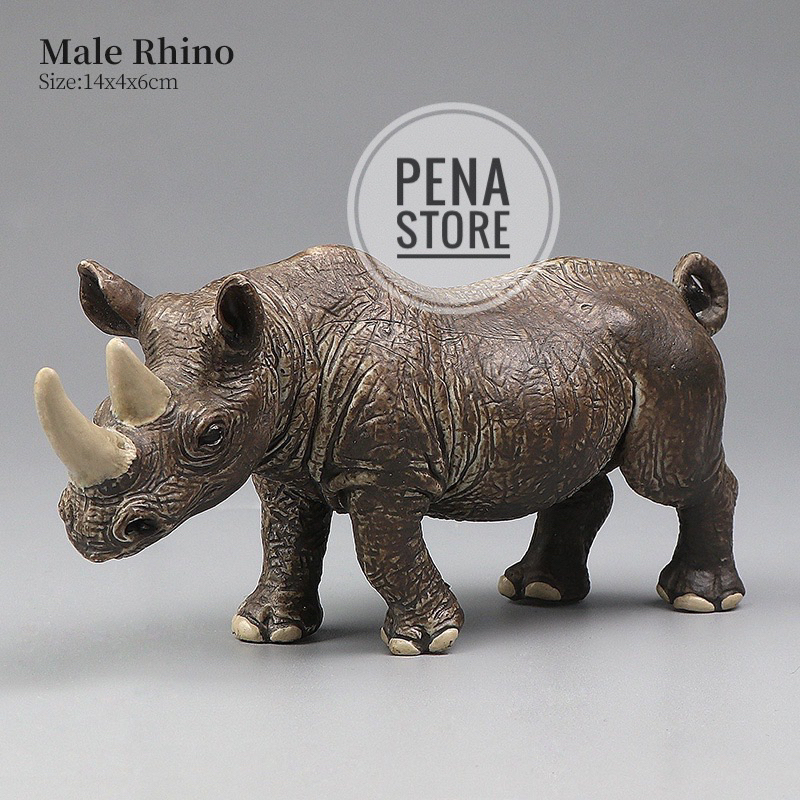 Mô Hình Động Vật - Tê Giác - Male Rhino
