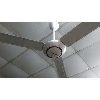 Quạt Trần 3 cánh Phong Lan CF56PL-S