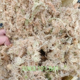 Túi 500g dớn trắng giữ ẩm tốt cho hoa lan, kiểng lá