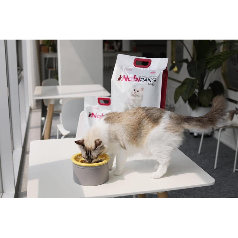 1kg - Thức ăn hạt Nabirang cho mèo 🐈