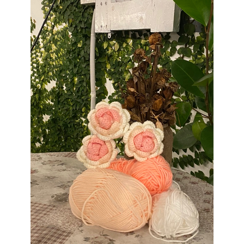 HOA HỒNG LEN OMBRE | FREE GÓI HOA