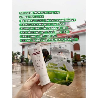COMBO TĂNG VÒNG 1 VIÊN UỐNG COLLAGEN MẦM NON +KEM MAXA UPSIZE PRO