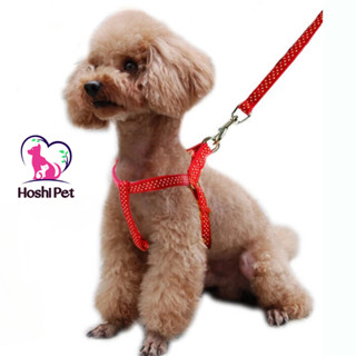 Dây dắt cho thú cưng, dây dắt nhiều màu sắc cho chó mèo