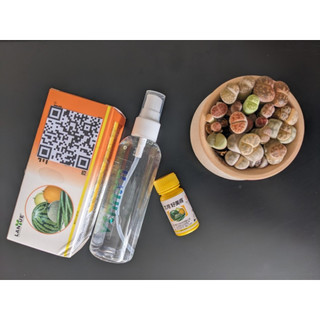 Dung dịch thụ phấn dưa lưới