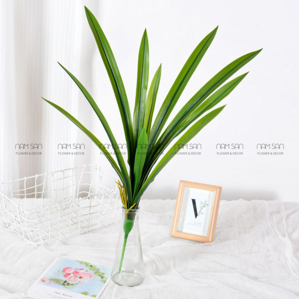 Lá lan nhọn cao su và vải có rễ các loại dành cho hoa lan trang trí