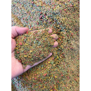 Mồi cá chép vị hoa quả chua mix hạt thịt ốc túi 1kg