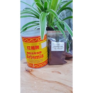 Trứng Artemia lon vàng Ấp Nở Trung Quốc Lon Vàng tỉ lệ nở cao
