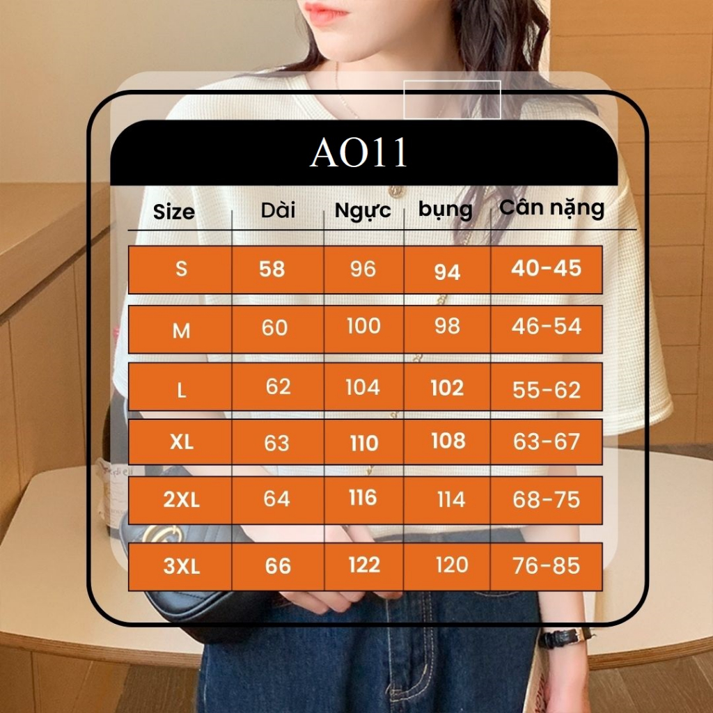 Áo thun bigsize 90kg chất cotton khô thoáng mát, form basic Hàn tay ngắn siêu xinh AO11