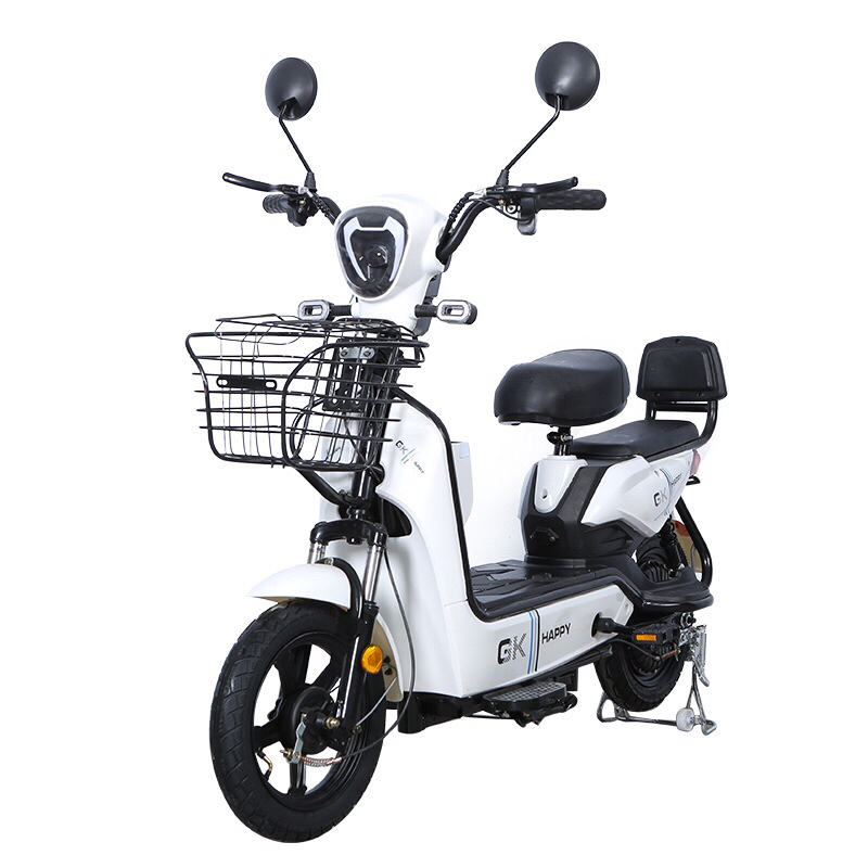 Xe đap điện mini nam nữ học sinh, bà nội trợ....