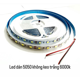 Led dây dán 5 mét 300 bóng led 12v, bóng led 5050 rgb đa sắc, trắng, vàng , dây led trang trí đủ màu