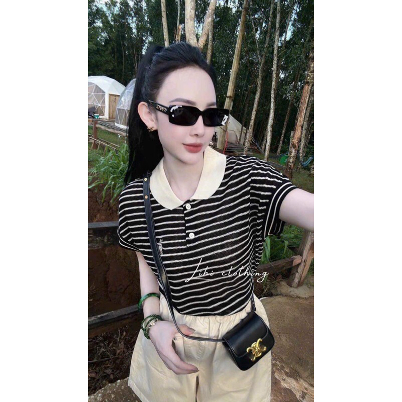 ÁO LEN KẺ  CỘC TAY CỔ SEN 3 MÀU