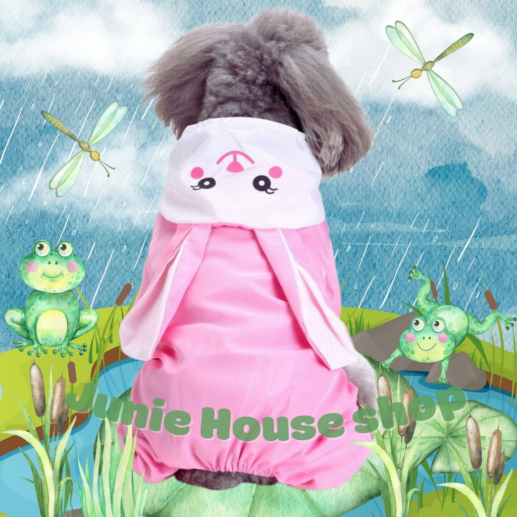 Áo mưa cho chó mèo hình thỏ, khủng long cute
