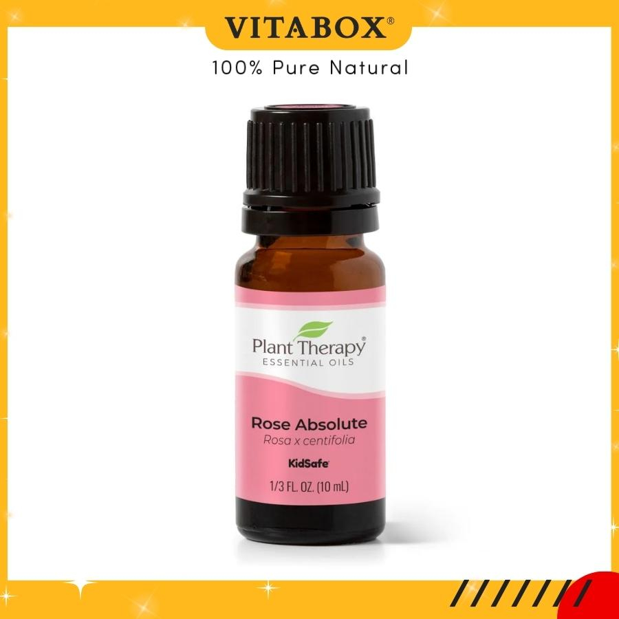 Tinh dầu Hoa Hồng (Rose Absolute) Plant Therapy - Kidsafe essential oil 5mL 10mL