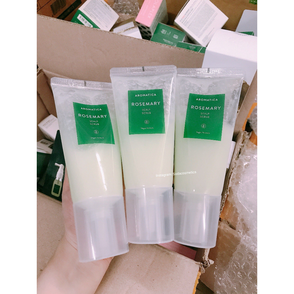 Bộ chăm sóc tóc hương thảo Aromatica số 1 olive young