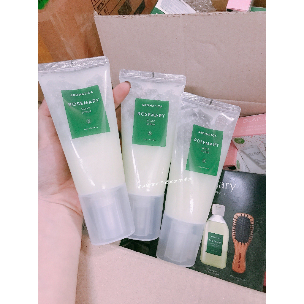 Bộ chăm sóc tóc hương thảo Aromatica số 1 olive young