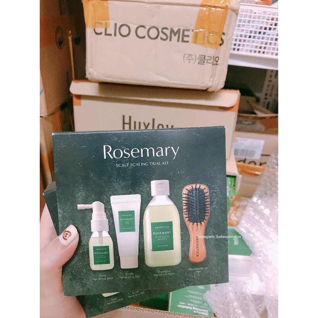 Bộ chăm sóc tóc hương thảo Aromatica số 1 olive young