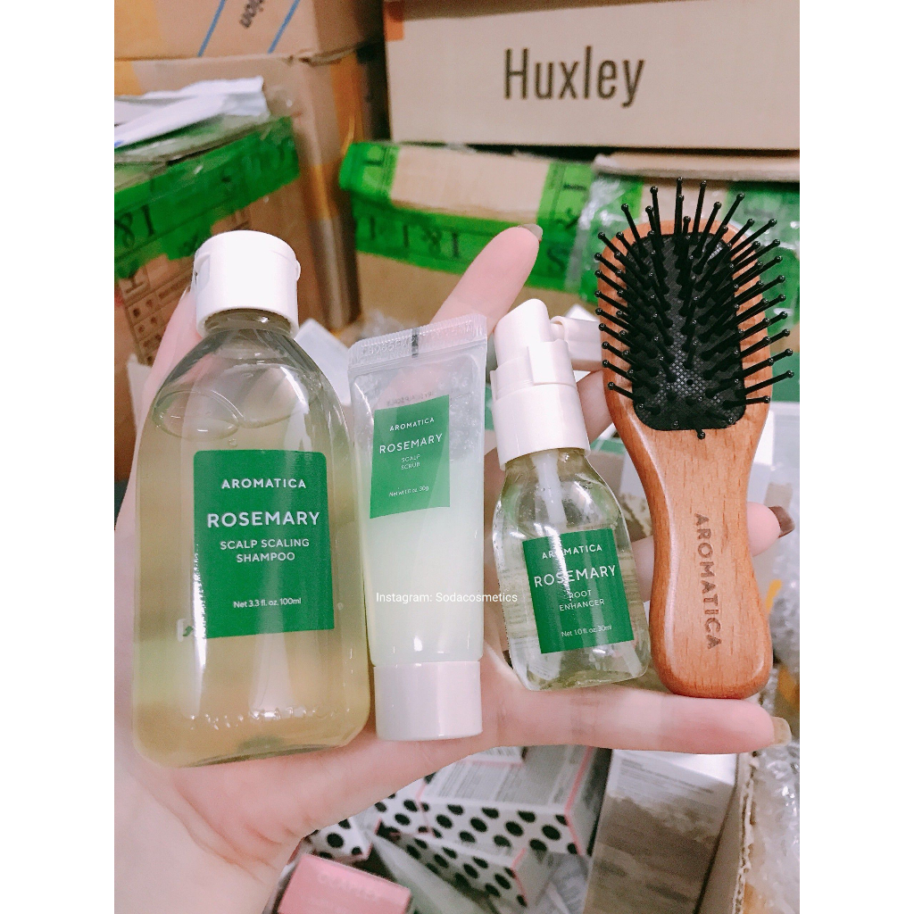 Bộ chăm sóc tóc hương thảo Aromatica số 1 olive young