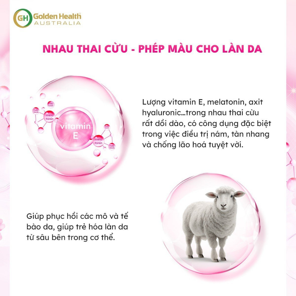 [GOLDEN HEALTH] Kem nhau thai cừu chống nhăn - Vitamin E, Essence Oil 100g