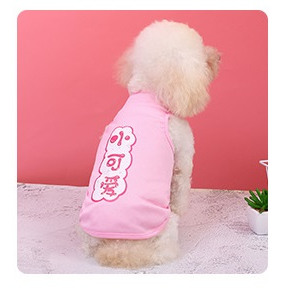 Áo Cho Chó, Đồ Cho Chó Mèo Mùa Hè, A5