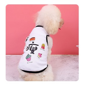 Áo Cho Chó, Đồ Cho Chó Mèo Mùa Hè, A5