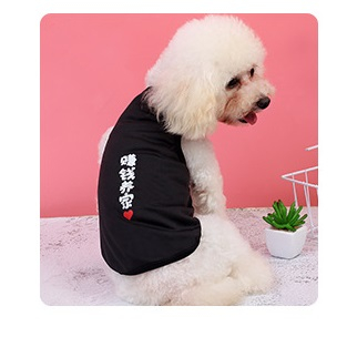 Áo Cho Chó, Đồ Cho Chó Mèo Mùa Hè, A5