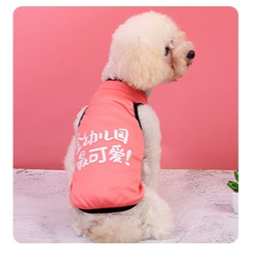 Áo Cho Chó, Đồ Cho Chó Mèo Mùa Hè, A5