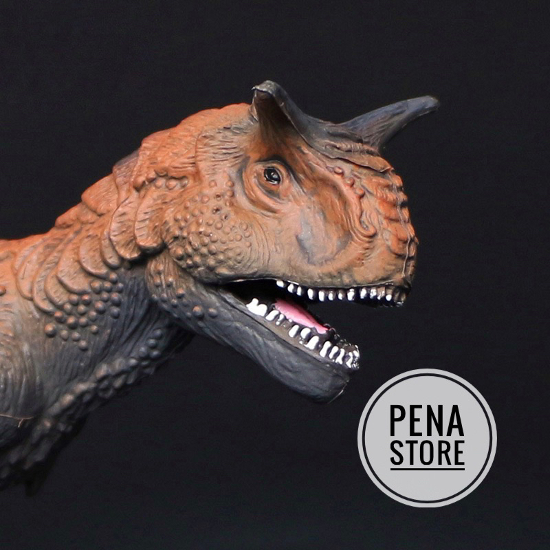 Đồ chơi mô hình khủng long Carnotaurus - khủng long bị cắm sừng - Khủng Long 2 sừng