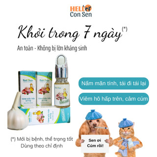 Xịt bôi nấm viêm da chó mèo và chữa bệnh hô hấp từ Tinh dầu tỏi Tâm Phúc - Xịt khử nấm ghẻ siêu nano DKGREEN Helloconsen
