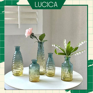 Lọ Thủy Tinh Cắm Hoa Ombre Bình Hoa Vintage để bàn làm việc phong cách Bắc Âu symphony